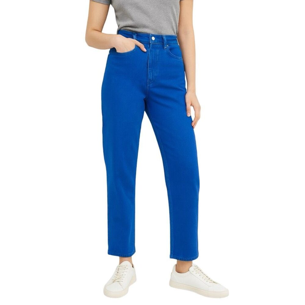 Everlane The Way-High Jean - Blue - Size 27 Tall